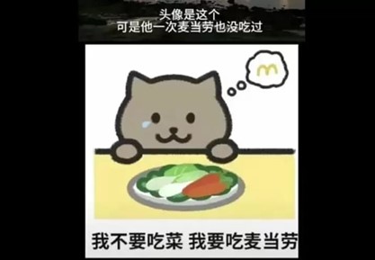 Pic 5 Fat Cat