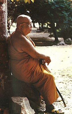 Pic 1 BuddhadasaAsiti60